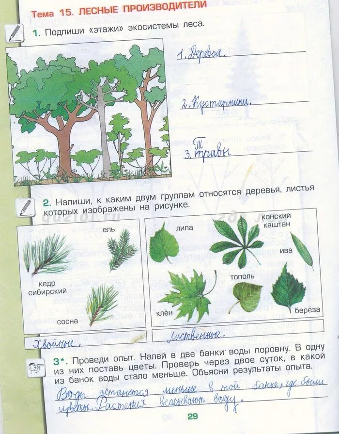 Домашнее задание по окружающему миру страница 29. Окруж мир 1 класс рабочая задания. Рабочая тетрадь по окружающему миру растения. Окружающий мир 3 класс проект домашнее задание. Окружающий мир рабочая тетрадь Лесные опасности.