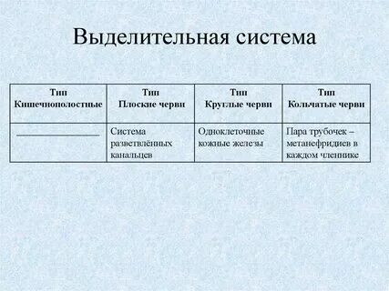 Система органов плоских круглых и кольчатых