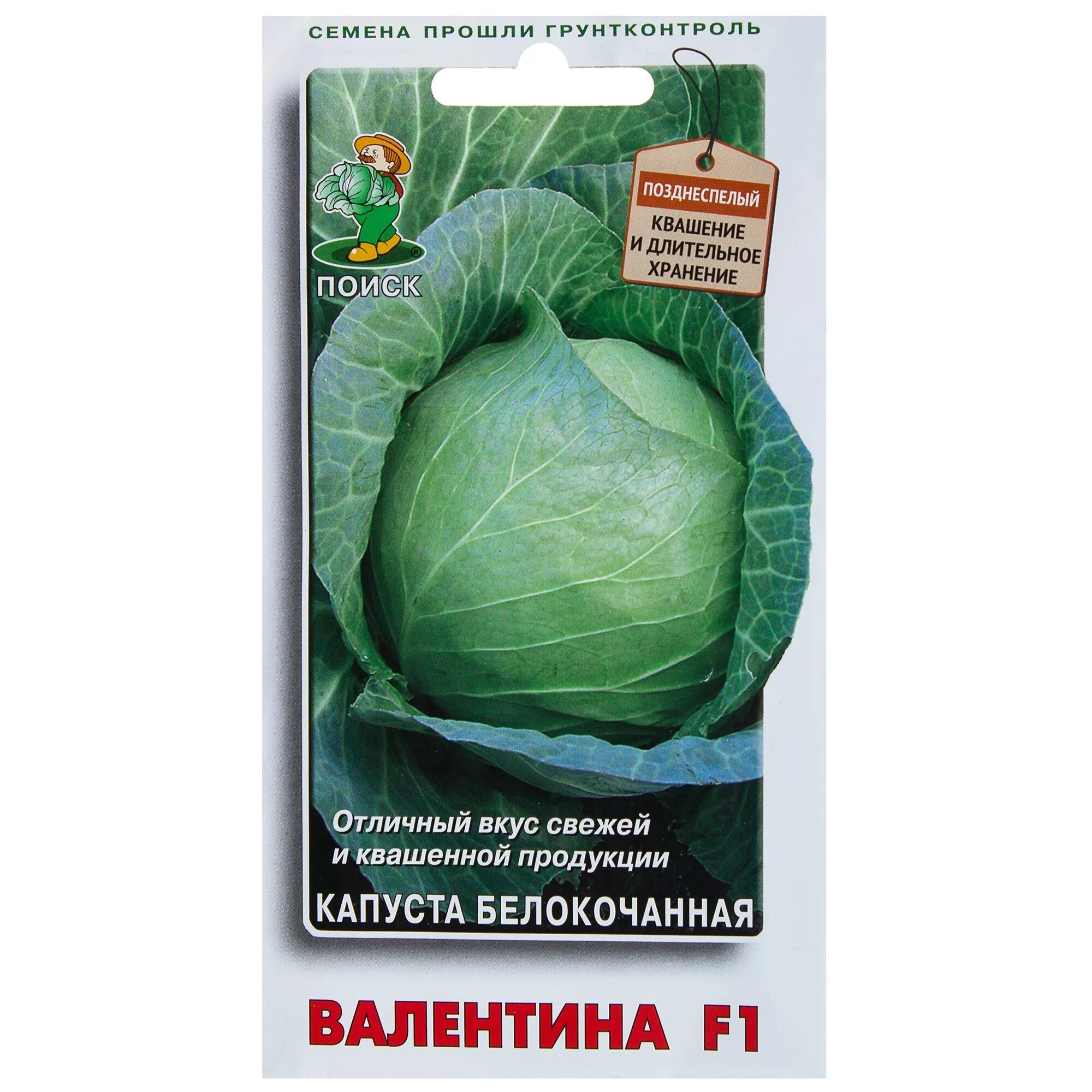 Капуста валентина: характеристика сорта, правила выращивания и ухода + фото