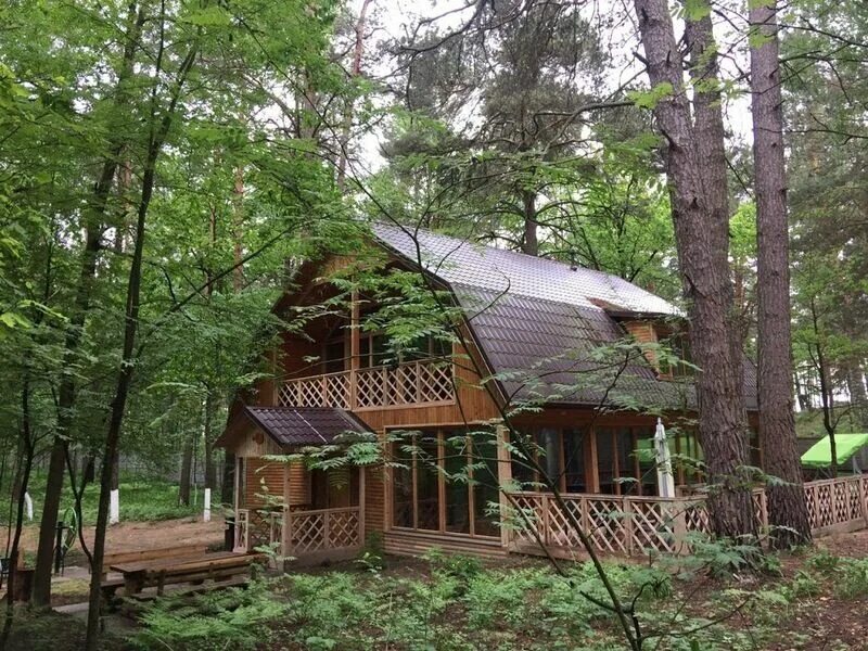 Белый берег гомель. Белый берег шведка. Белый берег гомельская область официальный сайт. Белый берег домики братск. Дом отдыха белый берег гомель.