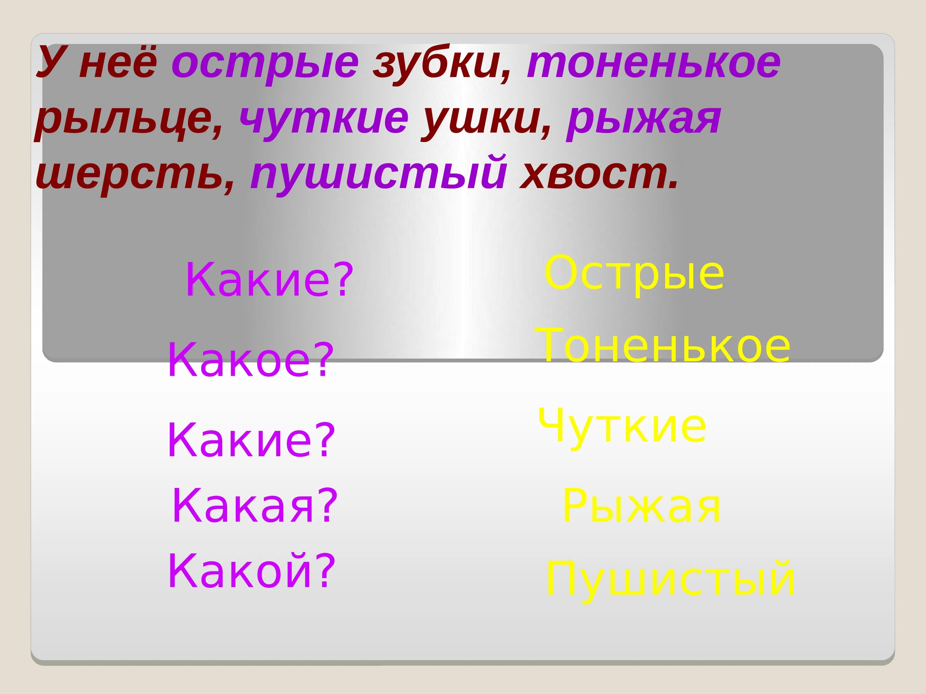 Чуткие ушки зверька ловят сигнал падежи. Какой какая какие. Ушки чутки. Пушистый прилагательное какое какое. Чуткие прилагательное.