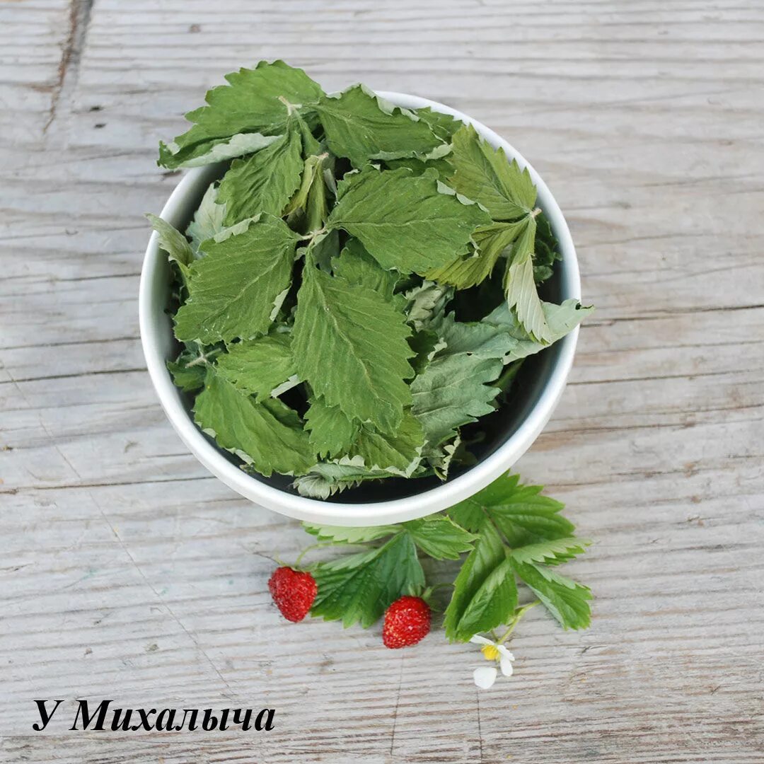 Настой земляники. Земляника листья. Чайный лист. Ферментация листьев земляники. Ферментированный чай.