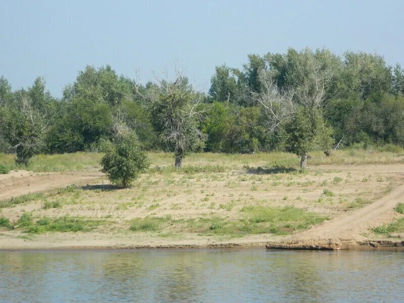 Астраханской области енотаевский район село енотаевский погода. СТП село Никольское Енотаевский район Астраханская область. Речка грачёвка Енотаевский район. Астраханская область Енотаевский район с.Петровка. Енотаевская крепость.