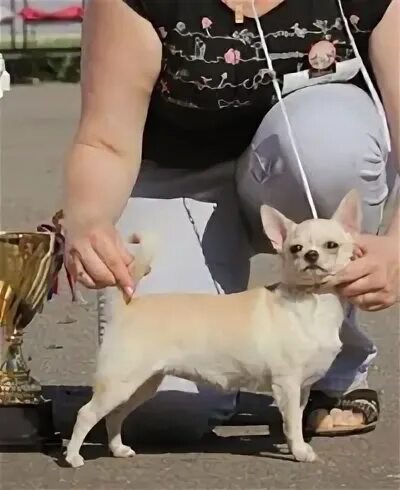 Питомник миле