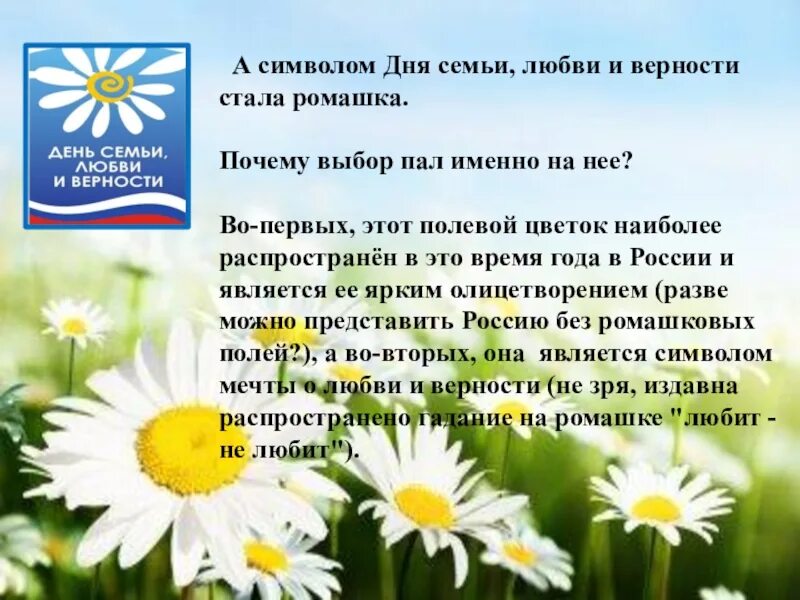 Символ верности в россии. Символ семьи любви и верности. Ромашка символ дня семьи любви и верности. День семьи Ромашка символ. Символ праздника день семьи.