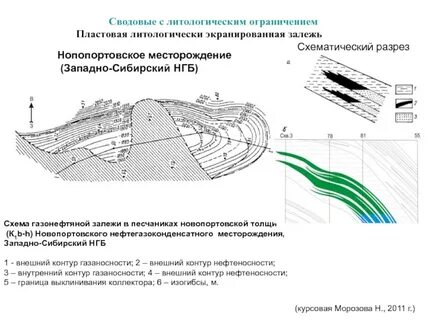 Литологически экранированный