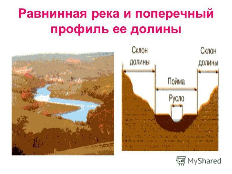 Урок река как водный поток 4 класс. Профиль Долины реки. Поперечный профиль реки. Поперечный профиль Речной Долины. Поперечный профиль Поймы.