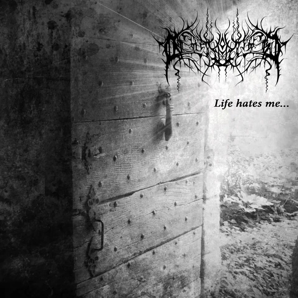 Life is hate. Oppressive Light - Life hates me 2013.