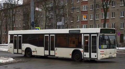 Маршрут 481 автобуса спб