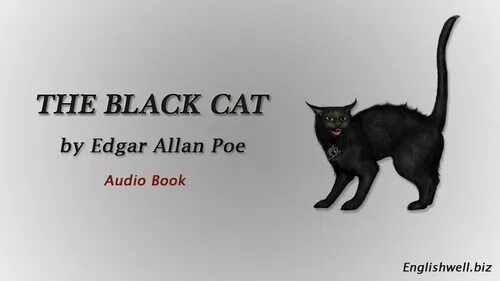 Песня черный на английском. Black Cat Edgar Allan POE. Allan POE Black Cat.