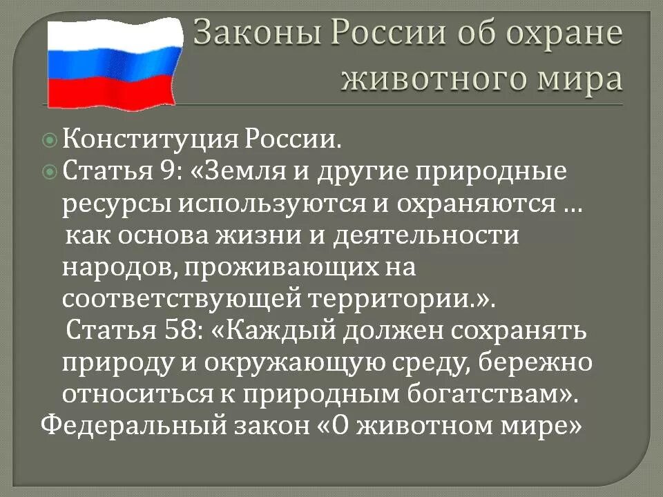 Закон принятый о животных. Законы россии. законодательство об охране животного мира. закон об охране животных. законы россии об охране животного.