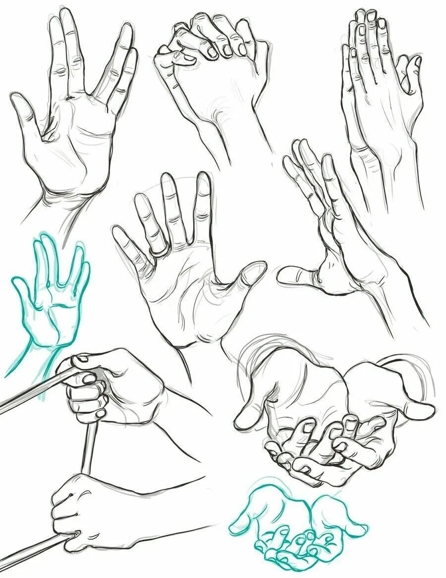 Руки для рисования. Кисти рук для рисования. Рука рисунок. Рисование руки человека.