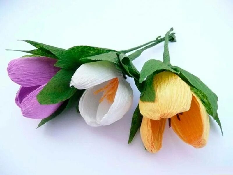 Крокусы из гофрированной бумаги. Крокусы из креповой бумаги. Крокусы цветы из гофробумаги. Коукус из гофро бумаги. Коукус из гофро бумаги.