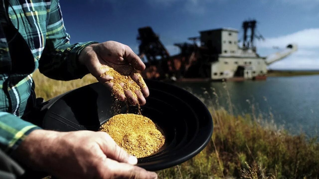 Золото каждый день. Золотая лихорадка Берингово море. Золотая лихорадка Аляска Дискавери. Золотая лихорадка во Франции. Золотая лихорадка (Gold Rush).