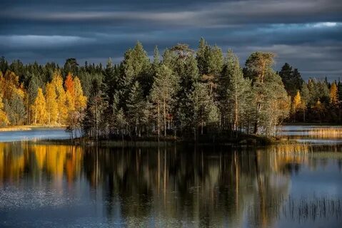Карелия край озер и лесов
