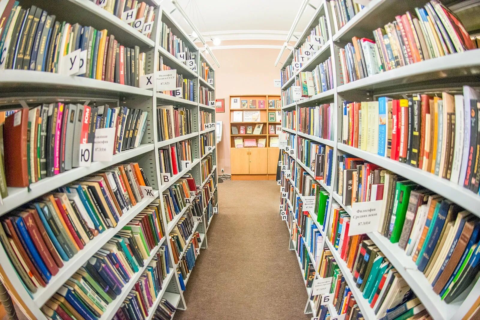 Книги в библиотеке. Книжные полки в библиотеке. книжные стеллажи в библиотеке. книжный фонд библиотеки. библиотечные полки.