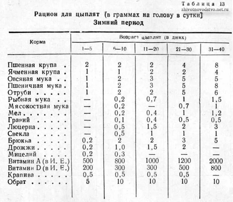 Норма корма для кур. Таблица корма цыплят несушек. Таблица кормления цыплят несушек. Нормы кормления цыплят несушек таблица. Рацион кормления цыплят бройлеров.