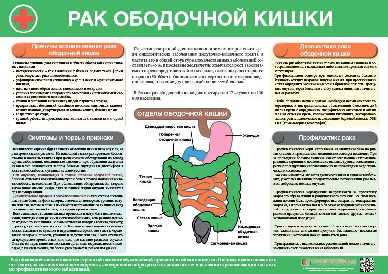 Онкология кишечника памятка. Профилактика заболеваний кишки. Профилактики опухолей кишечника. Профилактика онкологии кишечника. Болит ли живот при запоре