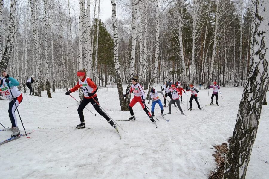 Спортивные школы лыжи. Спортивная школа по лыжам. Лыжники ДЮСШ. Спортивная школа по лыжным гонкам. ДЮСШ по лыжным гонкам.