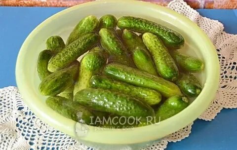 Огурцы для засолки хрустящие