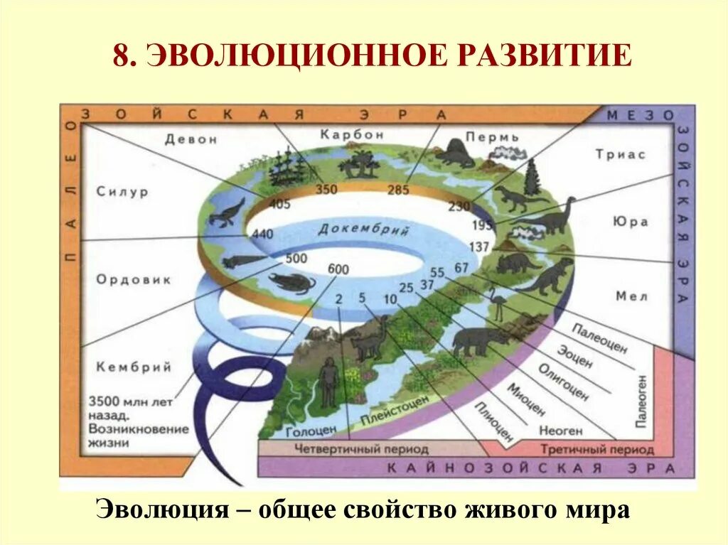 Свойства живых организмов Эволюция. Общие свойства живого. Свойства живых организмов 9 класс. Общие свойства живых систем.