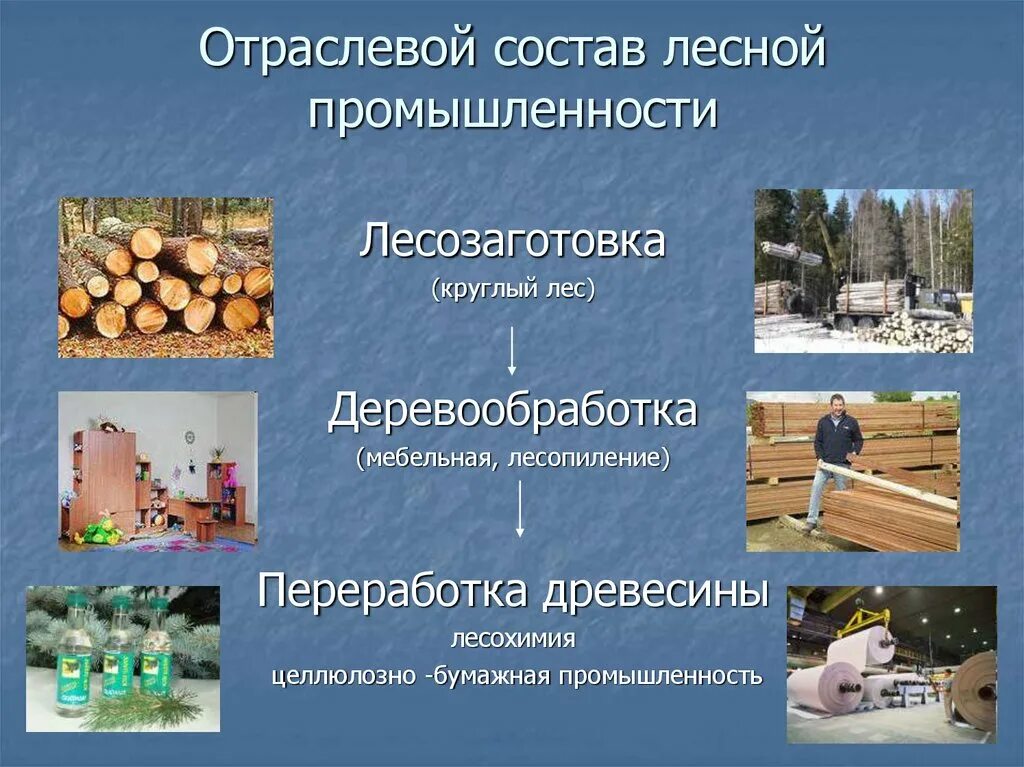 Какие товары производят в кемеровской области. Отрасли Лесной промышленности. Лесопромышленная отрасль. Сырьё в деревообрабатывающей промышленности. Продукция Лесной и деревообрабатывающей отрасли.