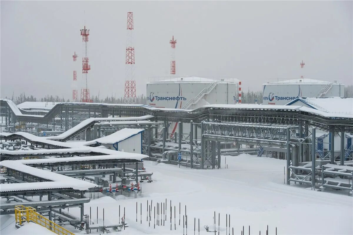 Ао транснефть западная сибирь. Транснефть западная сибирь офис. Транснефть западная сибирь. Транснефть сибирь логотип. Ао западная сибирь.