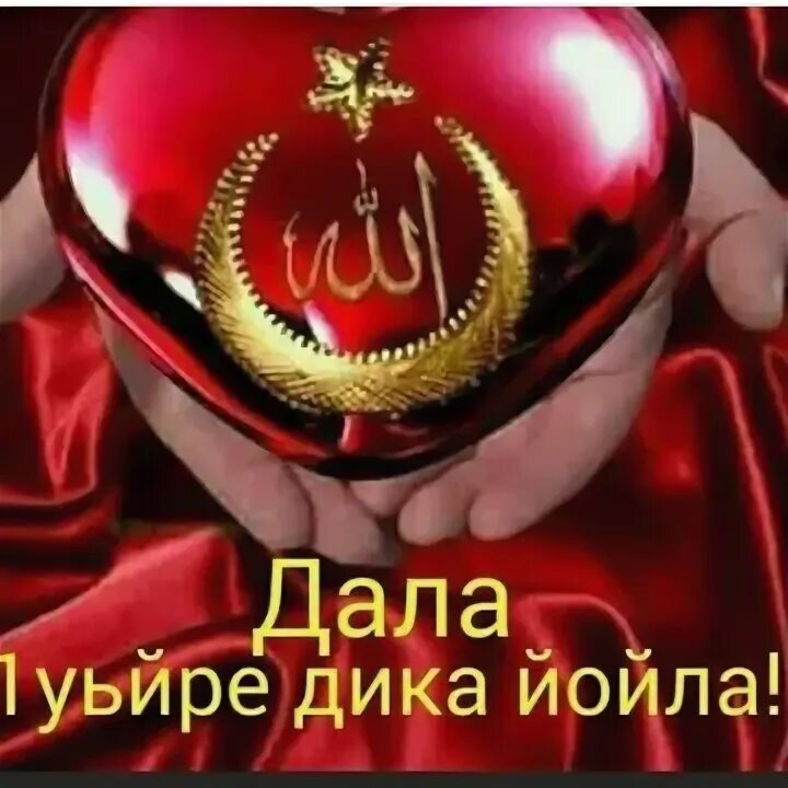 Нена йиша декъал йойла. Нена йиша декъал йойла
