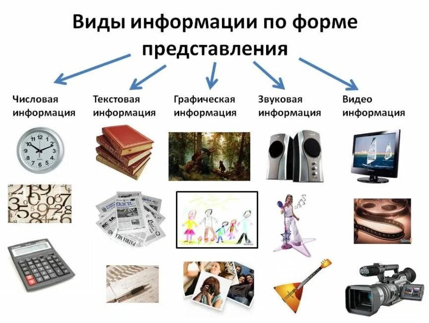 Виды форм информатика. Виды информации по форме представления. классифицируйте информацию по форме представления. : виды информации по форме и по способу представления. текстовая числовая графическая звуковая это виды информации.