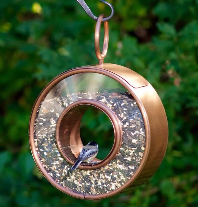 кормушка из бутылки. креативная кормушка для птиц. оригинальная кормушка для птиц из коробки. кормушка для птиц своими руками. оригинальная кормушка из подручных материалов.