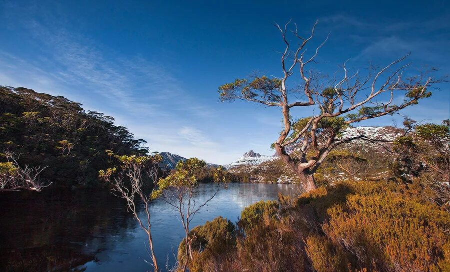 Остров на северо востоке австралии. Тасмания Австралия. Дикая природа Тасмании Тасмания. Остров Тасмания климат.