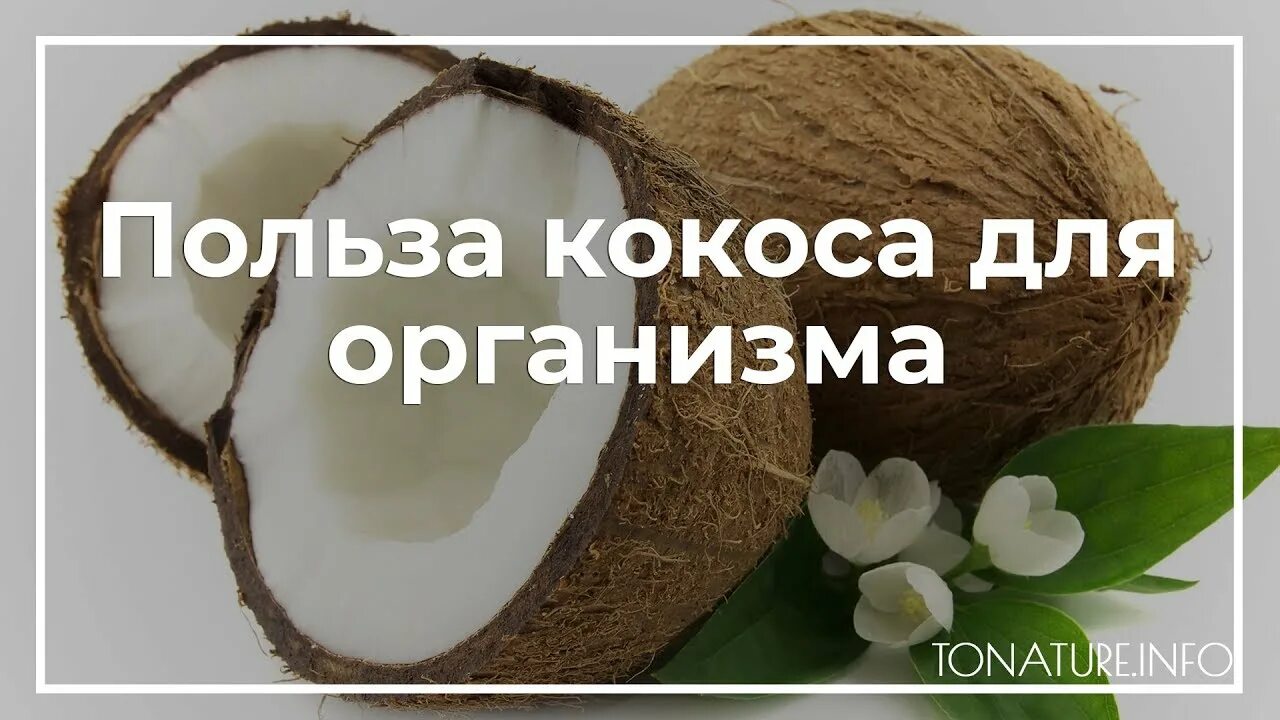 Чем полезен Кокос для организма. Что полезного в кокосе. Кокос для организма человека. Витамины в кокосе. Кокос польза для организма