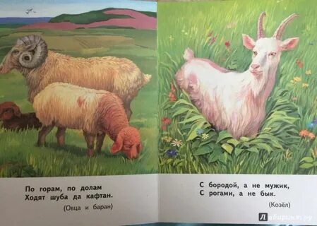 Загадка по горам по долам ходит