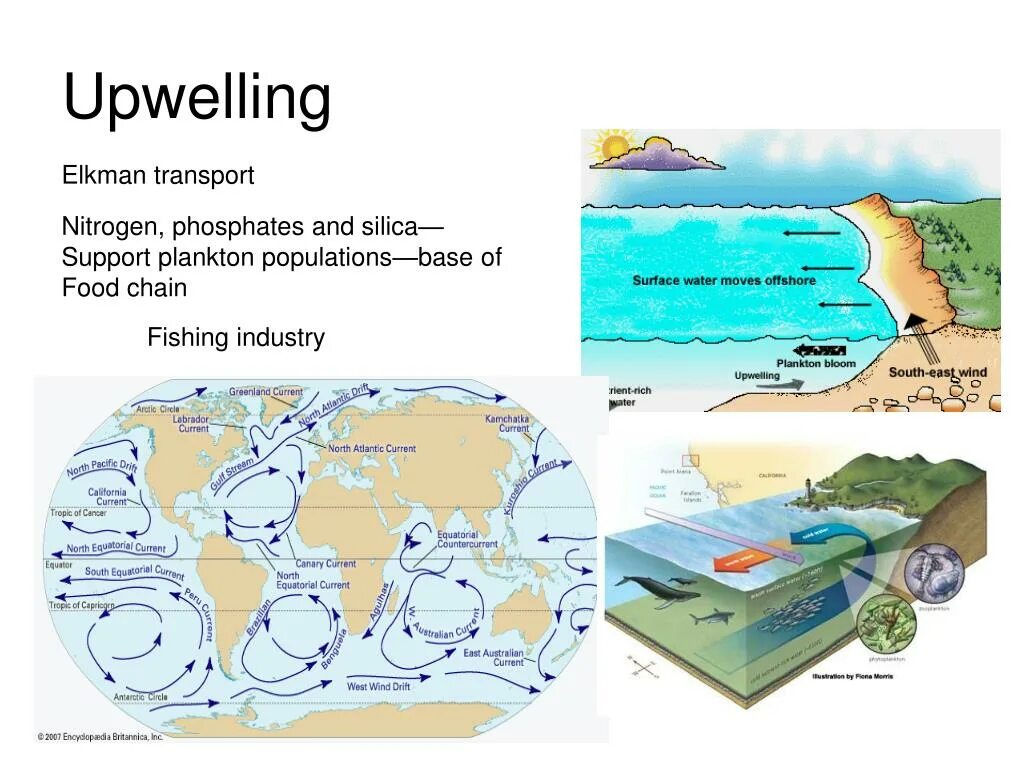 апвеллинг картинки красивые. апвеллинг что это такое в черном море.