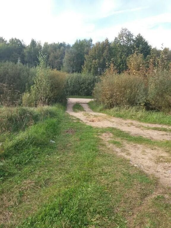 Погода в горетово можайского. Деревня горетово фото. Погода в горетово можайского. Погода в горетово можайского. Погода в горетово можайского.