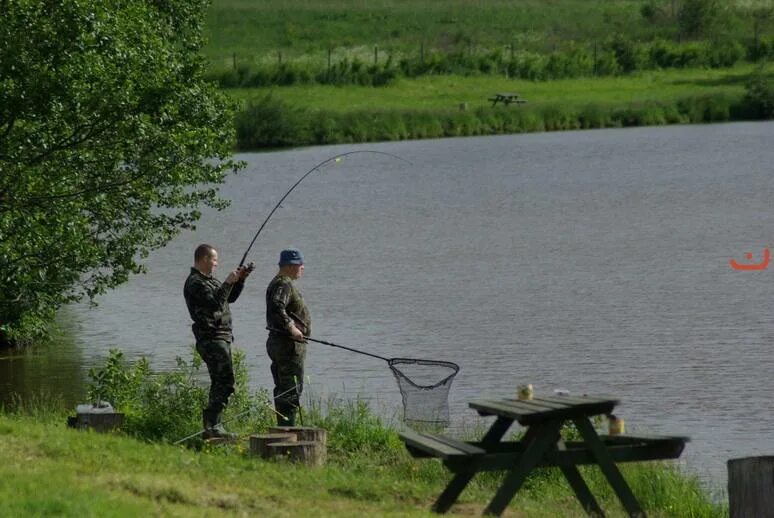Боровск рыбалка платная. Аверинский пруд беседки. Боровск рыбалка платная. Горнешное озеро бологое. Озеро горнешно.