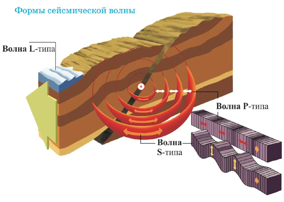 Волна землетрясения. Сейсмические волны землетрясения. Объемные сейсмические волны. Источник сейсмических волн. Землетрясение Геология.