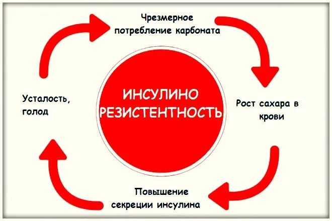 Инсулинорезистентность. Резистентность к инсулину. Формирование инсулинорезистентности. Симптомы инсулинорезистентности. Резистентность крови