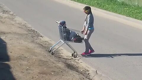Девочка видео телега