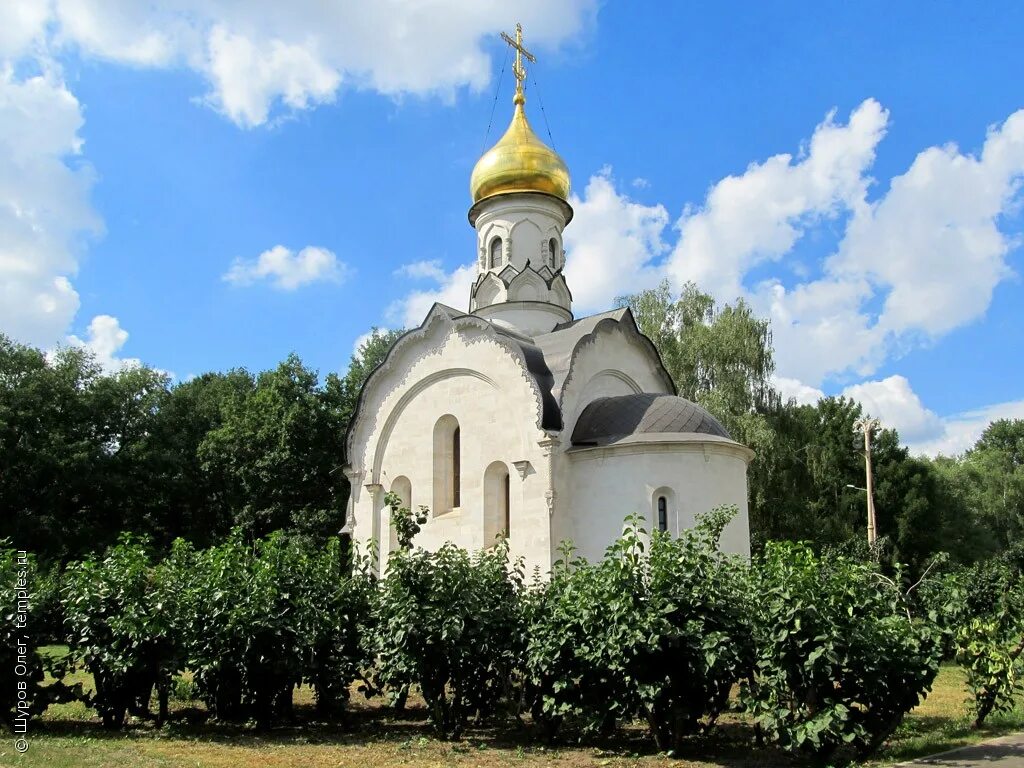 храм василия на горке в пскове. курцево храм василия. храм свт. церковь василия великого в зайцево. храм василия великого сайт.