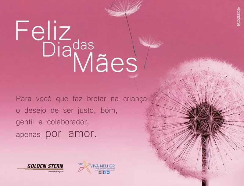 Quis você pra. Quis você pra. Quis você pra. Meu. Quis você pra.