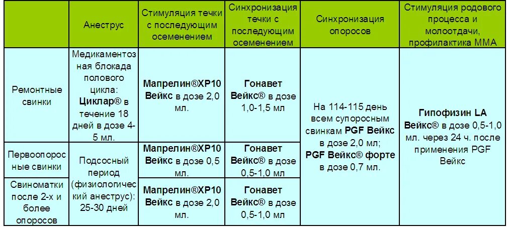 Через сколько приходит в охоту