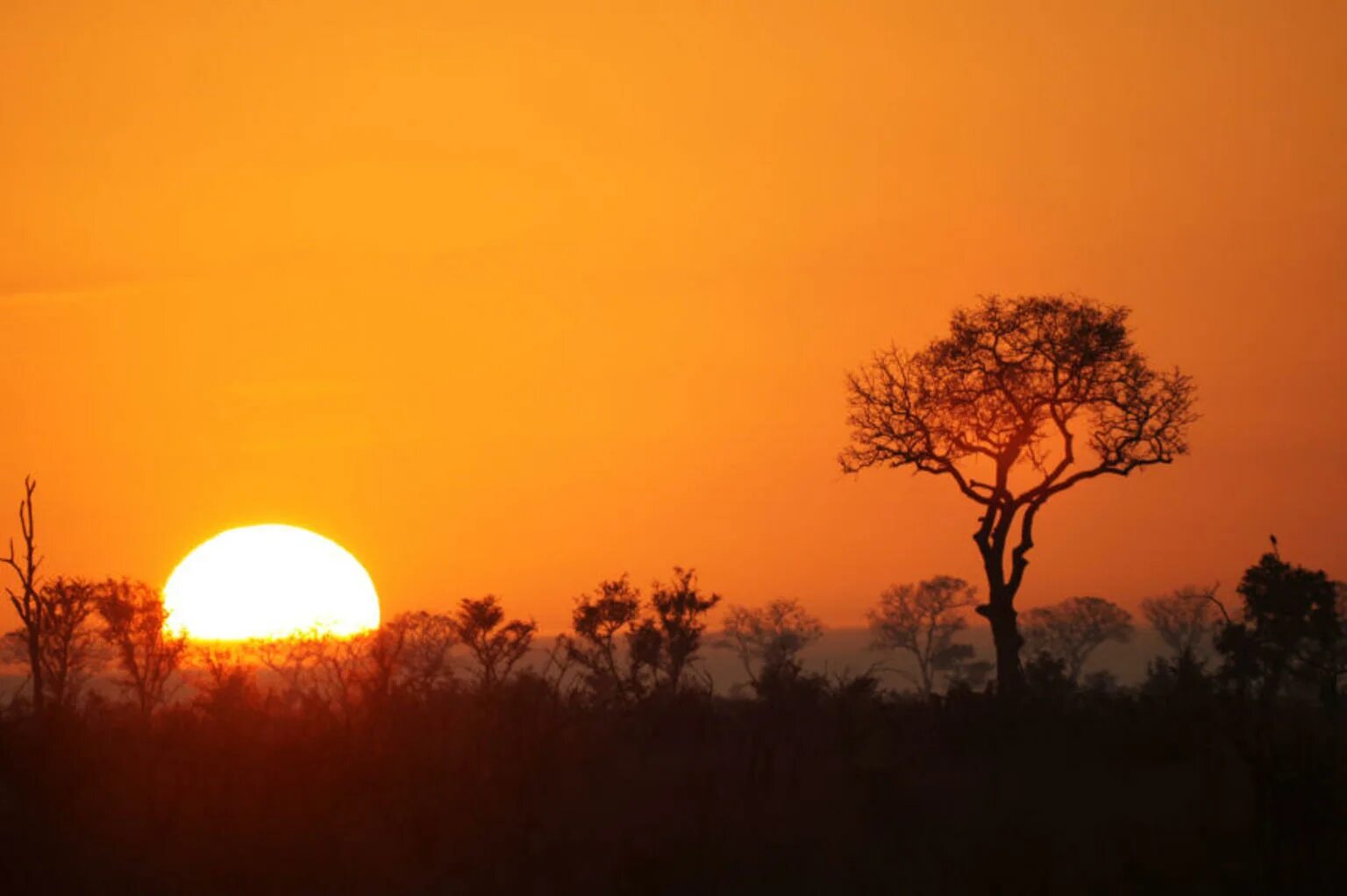 Каждое утро в африке. Солнце в Африке. Восход солнца в Африке. Солнышко Африка. Утро в Африке.
