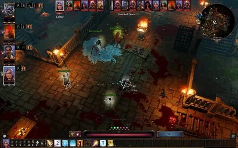 Divinity original sin 2 вдвоем