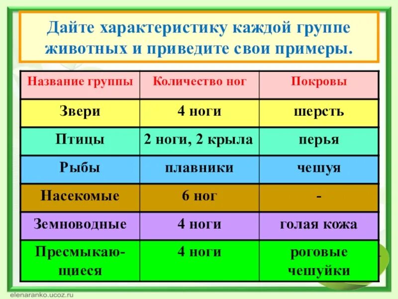 Разделите характеристики на группы. Характеристика групп животных. Названия групп животных. Название каждой группы животных. Дайте характеристику каждой группе животных и приведите свои примеры.