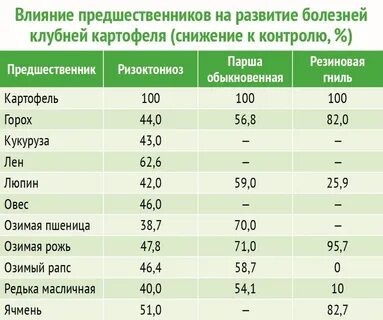 Сколько ведер картошки нужно на 1 сотку