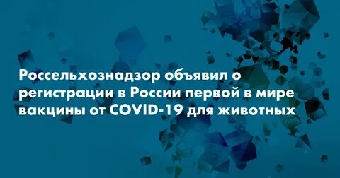 Донизу