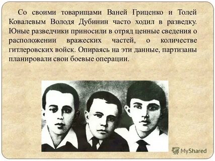 Приятели володи
