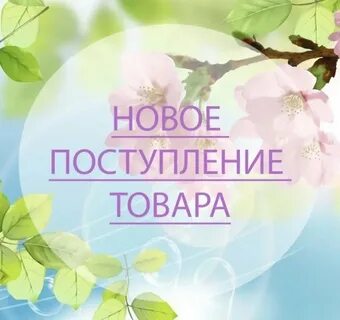Новинки сегодняшнего дня