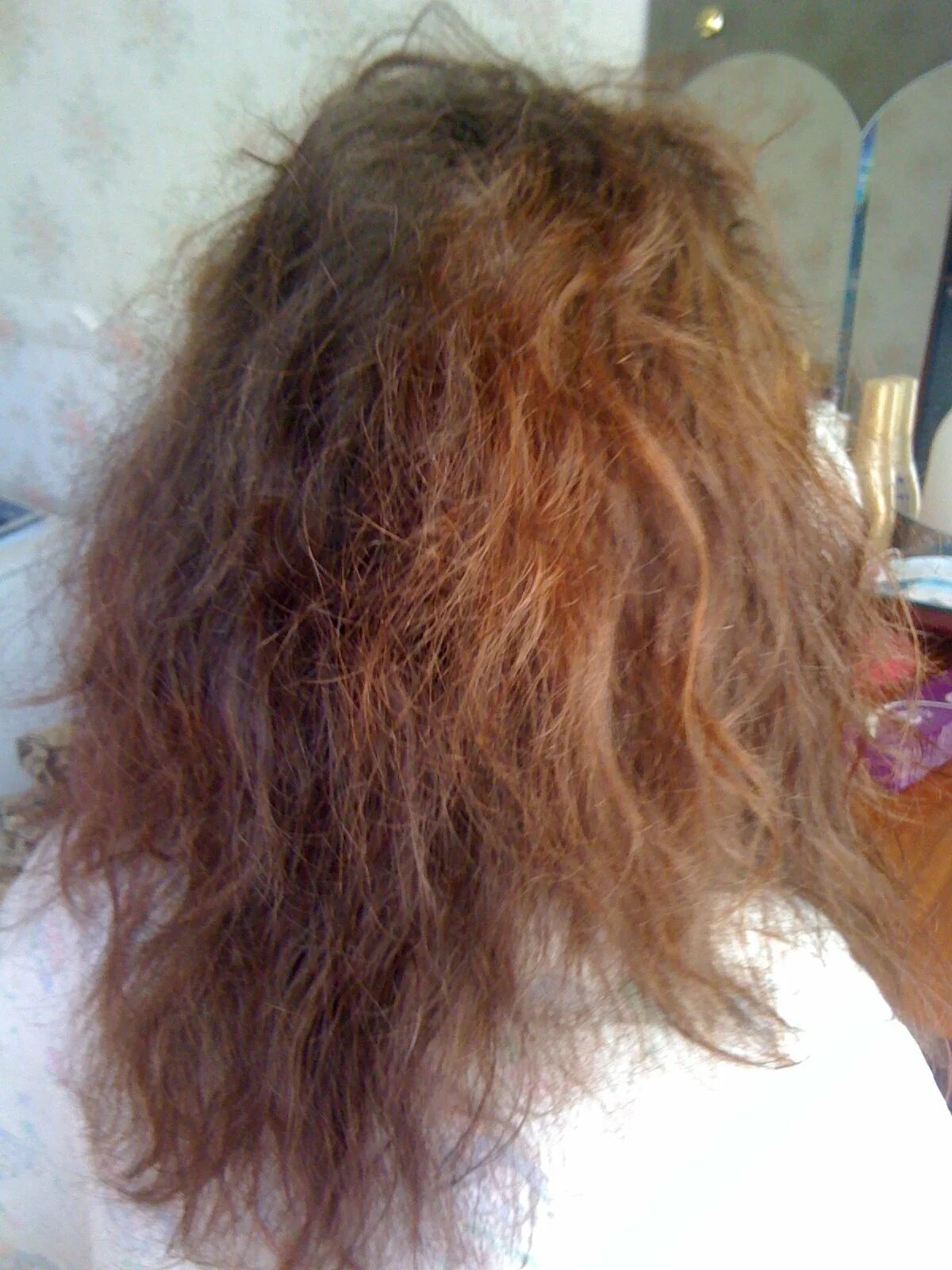Сгоревшие волосы. Сожженные волосы. Испорченные волосы. Испорченные волосы после окрашивания. Стрижка на сожженные волосы.